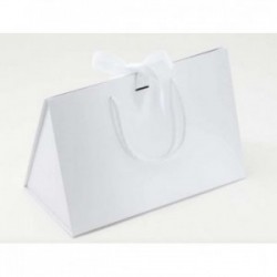 Boite sac à ruban BNBAGL Carton - 1