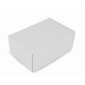 Boite d'expédition en microcannelure FVPD102 Carton - 4
