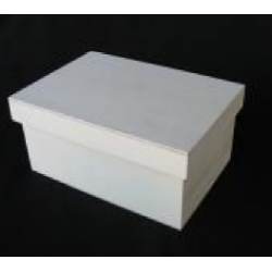 Boite à couvercle coiffant P00CF1A Bois - 3