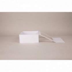 Coffret pliant avec fenêtre CEN22W Carton - 9