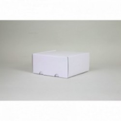 Boite d'expédition en microcannelure CEXP22 Carton - 10