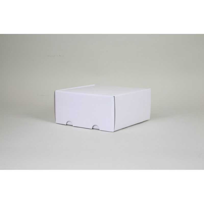 Boite d'expédition en microcannelure CEXP22 Carton - 10