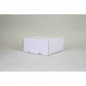 Boite d'expédition en microcannelure CEXP22 Carton - 10
