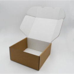 Boite d'expédition en microcannelure CEXPK22 Carton - 3