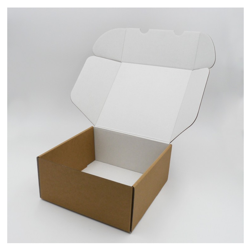 Boite d'expédition en microcannelure CEXPK22 Carton - 3