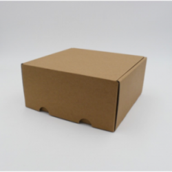 Boite d'expédition en microcannelure CEXPK22 Carton - 4