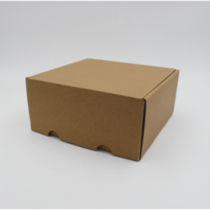 Boite d'expédition en microcannelure CEXPK22 Carton - 4