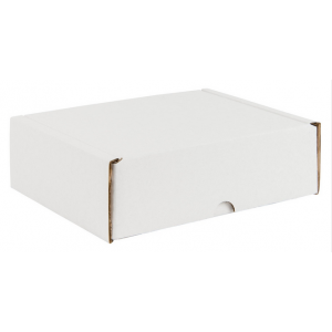 Boite d'expédition en microcannelure TBEXA4H Carton - 2