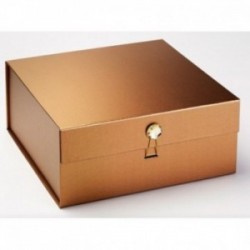 Coffret pliant avec rabat aimanté et bouton BNBBXLD2 Carton - 7