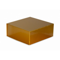 Coffret pliant avec rabat aimanté FVPD071 Carton - 5