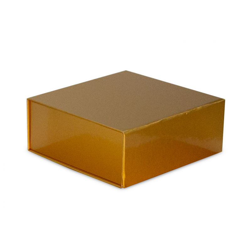 Coffret pliant avec rabat aimanté FVPD071 Carton - 5