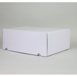 Boite d'expédition en microcannelure CEXP40 Carton - 10