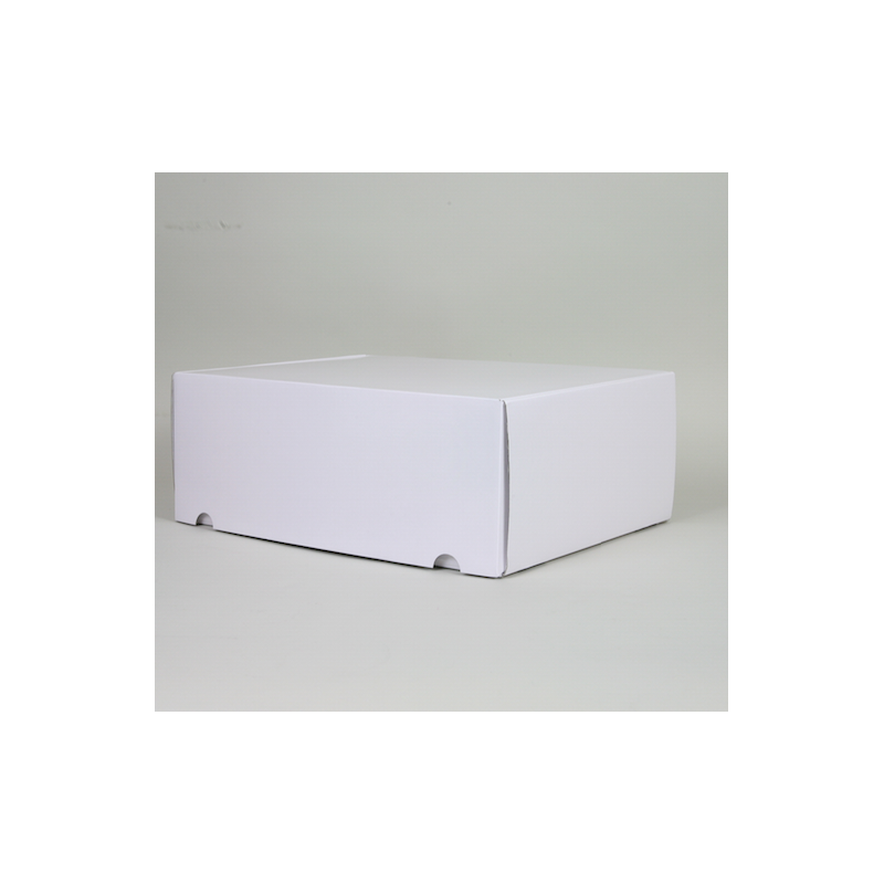 Boite d'expédition en microcannelure CEXP40 Carton - 10