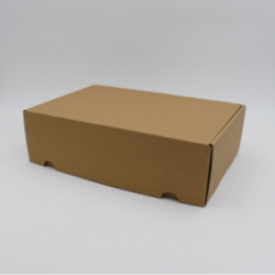 Boite d'expédition en microcannelure CEXPK40 Carton - 3