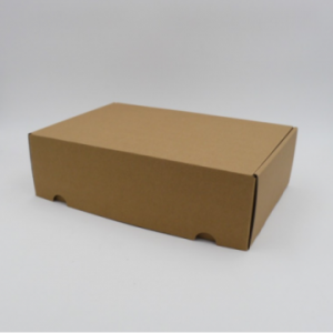Boite d'expédition en microcannelure CEXPK40 Carton - 3