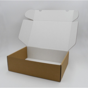 Boite d'expédition en microcannelure CEXPK40 Carton - 4