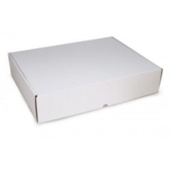 Boite d'expédition en microcannelure FNS1025 Carton - 4