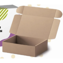 Boite d'expédition kraft BEXP22080K Carton - 2