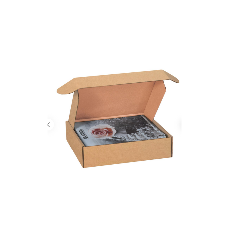Boite d'expédition kraft BEXP265K Carton - 2