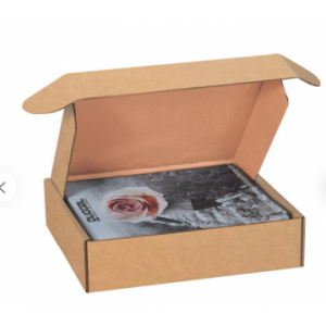 Boite d'expédition kraft BEXP265K Carton - 2