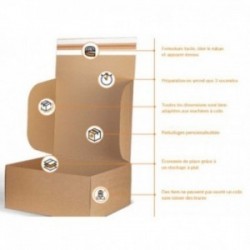 Boite d'expédition imprimée avec adhésif LB427S30 Carton - 6