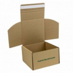 Boite d'expédition imprimée avec adhésif LB427M10 Carton - 3