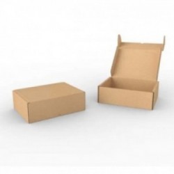 Boite d'expédition kraft BZ250150100K Carton - 2