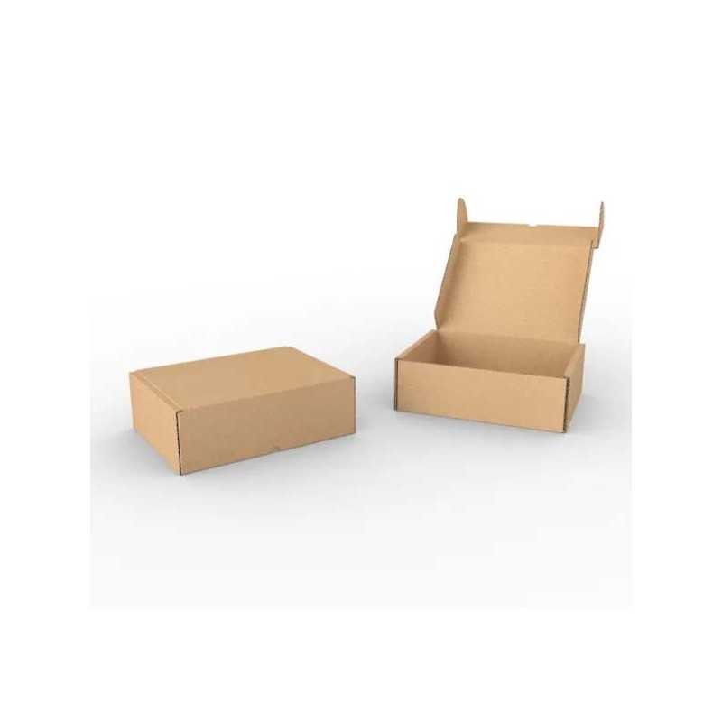 Boite d'expédition kraft BZ250150100K Carton - 2