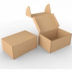 Boite d'expédition kraft BZ250200100K Carton - 2