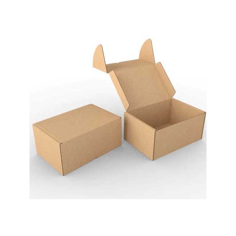 Boite d'expédition kraft BZ250200100K Carton - 2