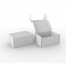 Boite d'expédition blanche BZ310220150B Carton - 2