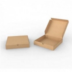 Boite d'expédition kraft BZ29029050K Carton - 2