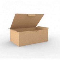 Boite d'expédition kraft BZ350220130K Carton - 2