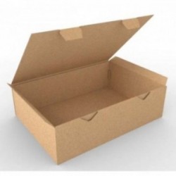 Boite d'expédition kraft BZ430300120K Carton - 2