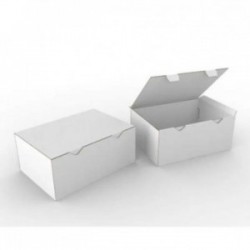 Boite d'expédition blanche BZ430300180B Carton - 2