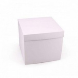 Boite pliante avec couvercle SHQC40 Carton - 4