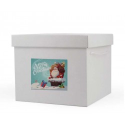Boite pliante avec couvercle SHQCP41 Carton - 7
